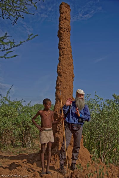 חוגי בית image