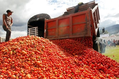 Productores mexicanos y Estados Unidos firman acuerdo sobre exportaciones del tomate nacional. image