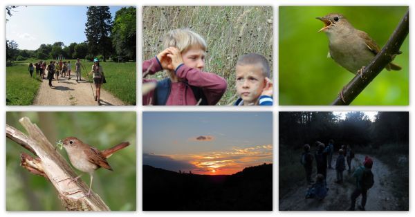 Esti fülemüle hallgató séta - ÖSVÉNY Családi Programok 2024.