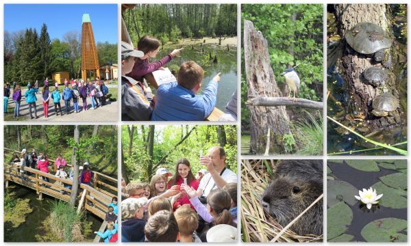 ZÖLD DETEKTÍV - interaktív természetismereti kalandtúra - ÖSVÉNY Családi Programok 2021. - délután