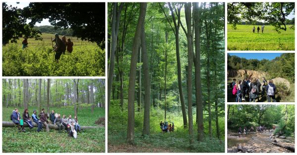 Nyárzáró kirándulás - ÖSVÉNY Családi Programok 2020.