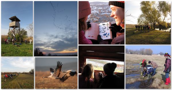 Darules és az őszi puszta élővilága - ÖSVÉNY Családi Programok 2020.