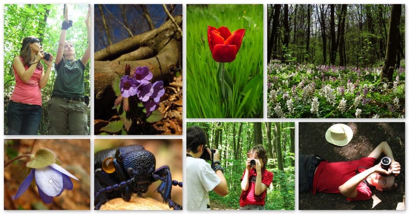 Tavaszi képek fotósséta - ÖSVÉNY Családi Programok 2022.