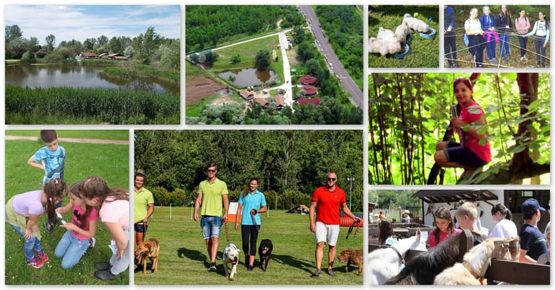 Házikedvencek a természetben a REX Állatszigeten - ÖSVÉNY Családi Programok 2021.