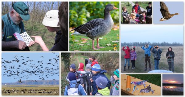 Családi vadludas kirándulás délután - ÖSVÉNY Családi Programok 2023.