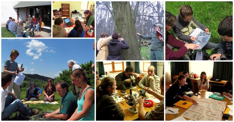 TEREPI PROGRAMTARTÓI ALAPKÉPZÉS II. tavaszi alkalom