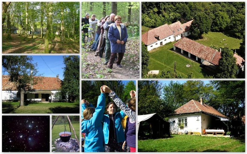 KEDVCSINÁLÓ pedagógusoknak - RÁKTANYÁN