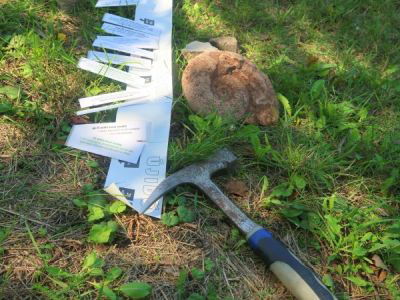 GEOLÓGIAI SÉTÁK - időutazás a földtörténeti múltba. Gerecsében, Bakonyban, Börzsönyben, vagy megegyezés szerinti  helyszíneken