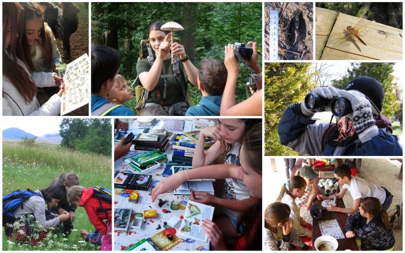 Élőlényismeret -TEREPI PROGRAMTARTÓI KIEGÉSZÍTŐKÉPZÉS