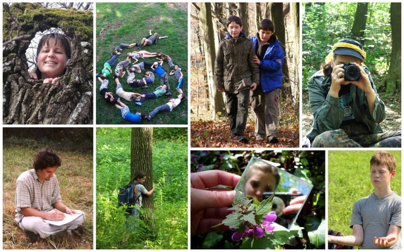 TEREPI PROGRAMTARTÓI KIEGÉSZÍTŐKÉPZÉS