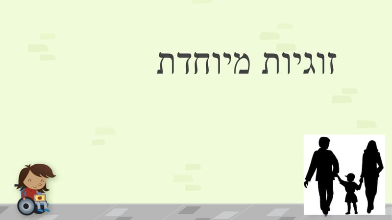 זוגיות מיוחדת
