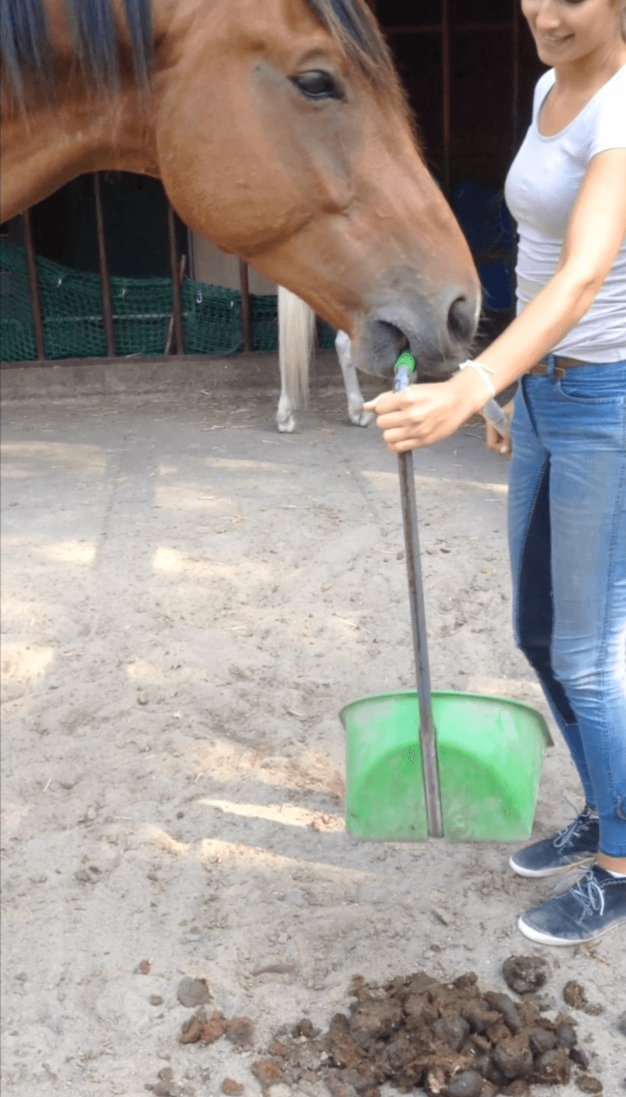 Aime helps Scoop the Poop