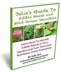 Julia’s Guide to Edible Weeds and Wild Green Smoothies