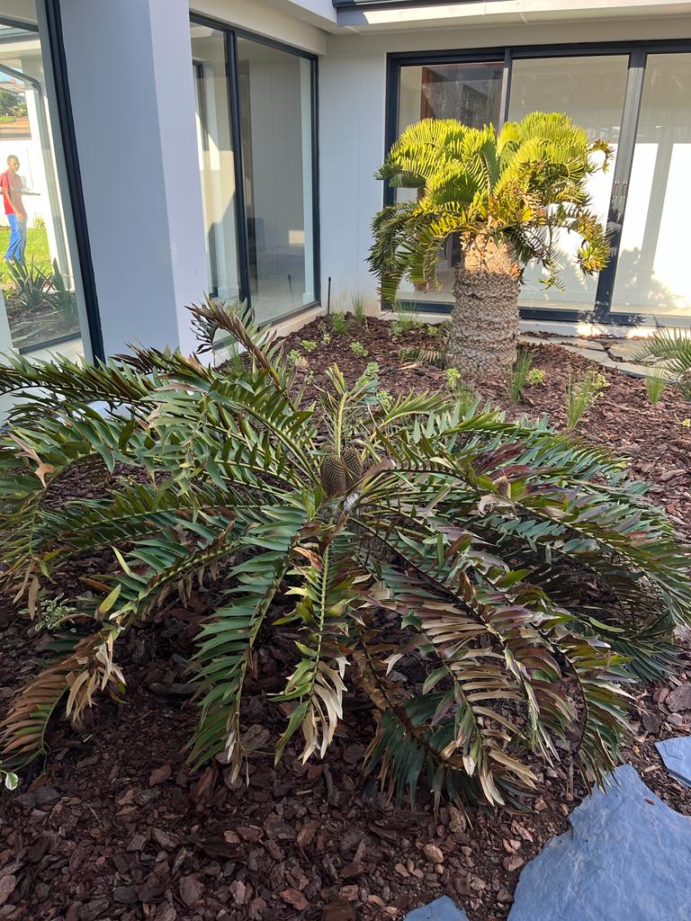 STANDARD SINGLE STOREY DWELLING