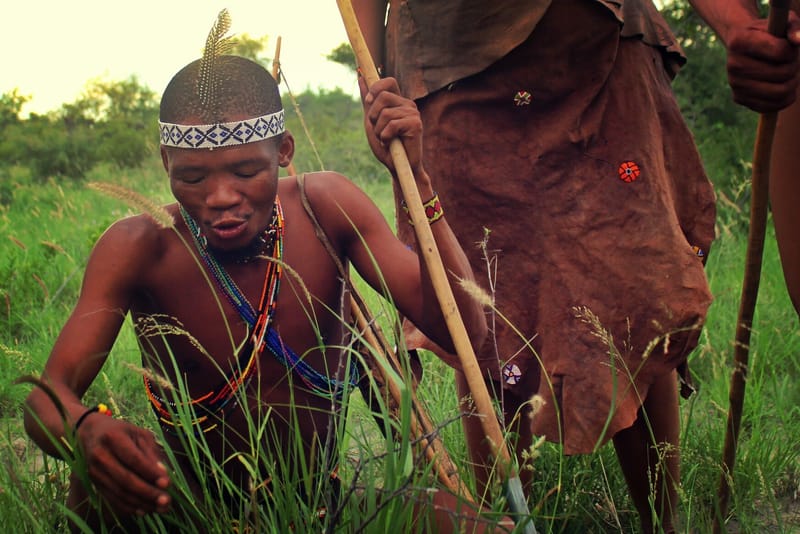 Tribes of Botswana