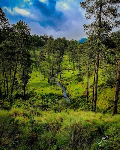 Historia del municipio image