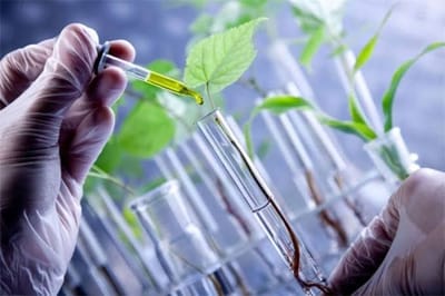 ¿QUÉ ES BIOTECNOLOGÍA?