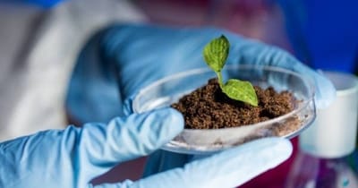 ¿QUÉ OFRECE LA ESCUELA PARA LA ESPECIALIDAD EN BIOTECNOLOGÍA?