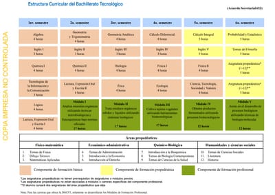 ESTRUCTURA CURRICULAR