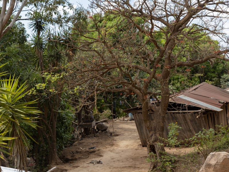 1. Legada a Chiquimulilla. Construcción del Muro de Contención en Guayabales