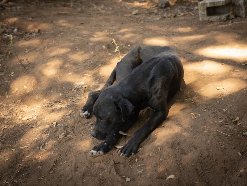 4. ROSTROS Y LUGARES PARA NO OLVIDAR