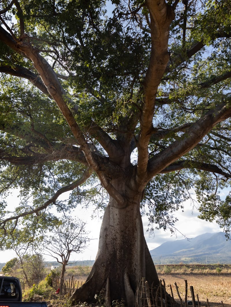 4. ROSTROS Y LUGARES PARA NO OLVIDAR