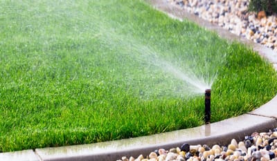 Vantagens de rega  automatizada image