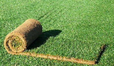 Especial Relva image