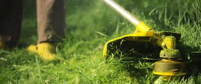 Limpeza de terrenos image