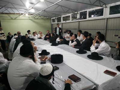 סדרת מאמרים בענין: דרך ברסלב ודרך ליטא, הילכו שניהם יחדיו? מאמר א