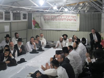 מאמר ז: עניין לימוד התורה במשנת ברסלב – המשך