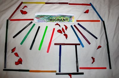 Border-crossing via ‘Belarus Route’: case of irregular migration to Lithuania