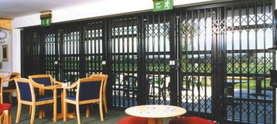 Security Grilles image