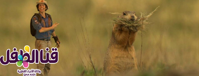 مغامرات مدهشة لآندي.. على قناة براعم