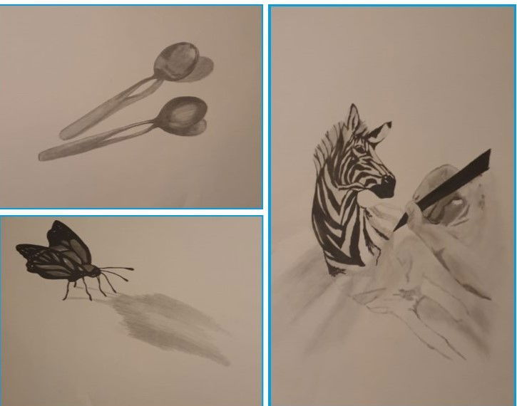 Zeichenkurs (Anfänger)