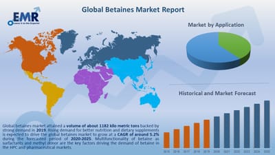 Betaines Market Growth 2020: Global Size, Share, Price Trends, Report & Forecast 2025