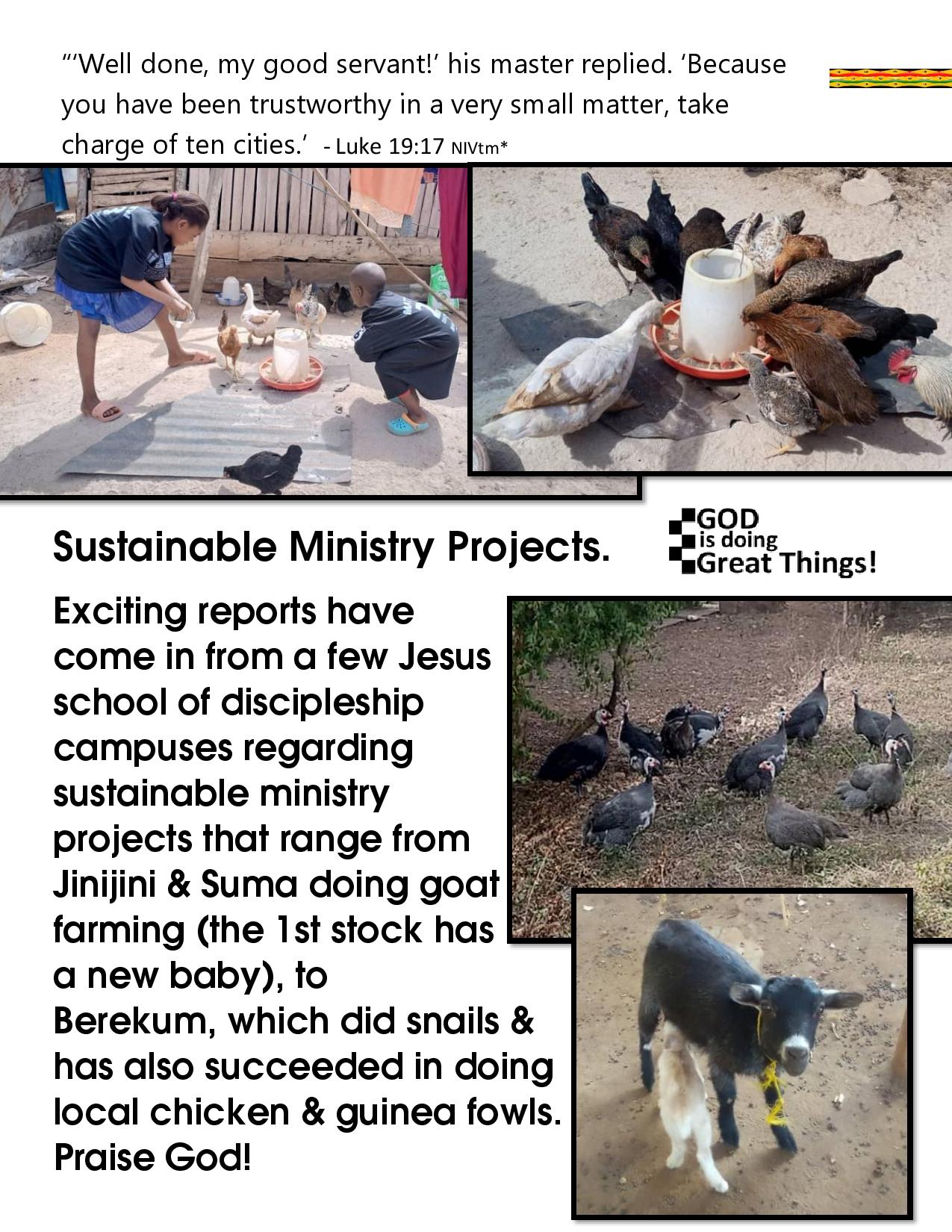 2022 AFFM & FFMG Year End Ministry Impact Report