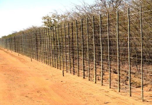 Rekopane Real Estate