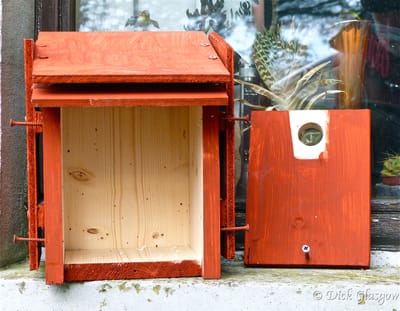 First Buying, then constructing Nest Boxes image