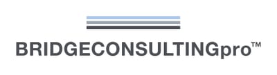 BRIDGECONSULTINGpro