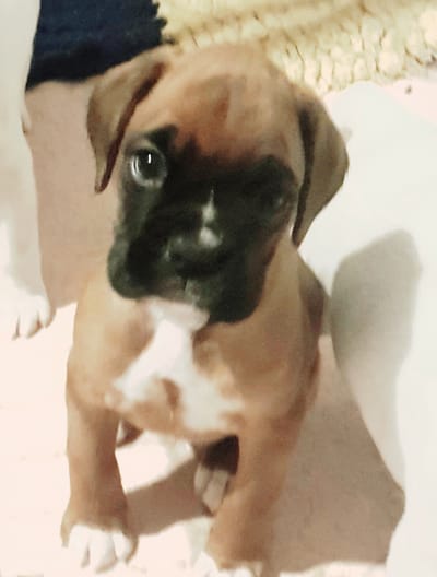 We are still building our site