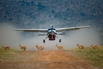 Try Something Exciting This Vacation – Book For Kenya Flying Safari Packages