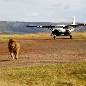 Masai Mara Packages From Nairobi – Knowing All About The Masai Tribe