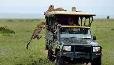 Best Kenya Tour Packages: Choose The Best That Suits Your Adventurous Needs