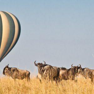How Nairobi National Park Day Trip Unwind People Holiday Excursion Plans?