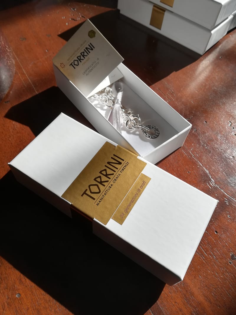 Torrini TV show a Roma