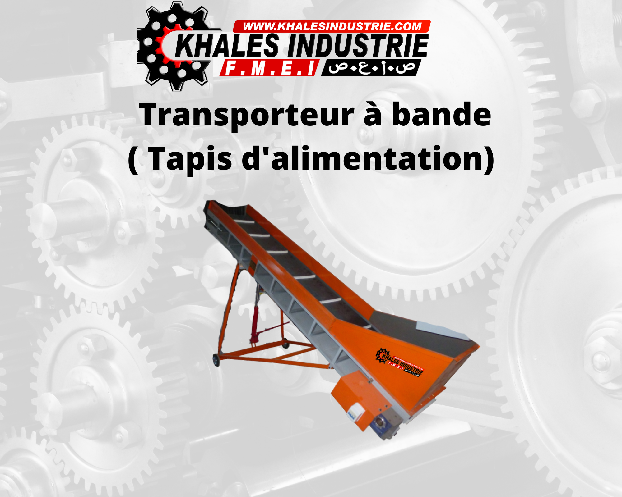 Convoyeur ( Transporteur ) à bande ( Tapis d'alimentation)