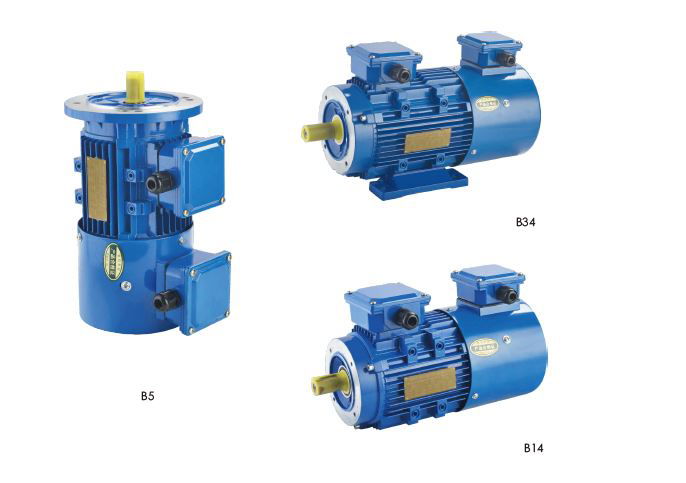 Moteur à courant alternatif à vitesse réglable de conversion de fréquence