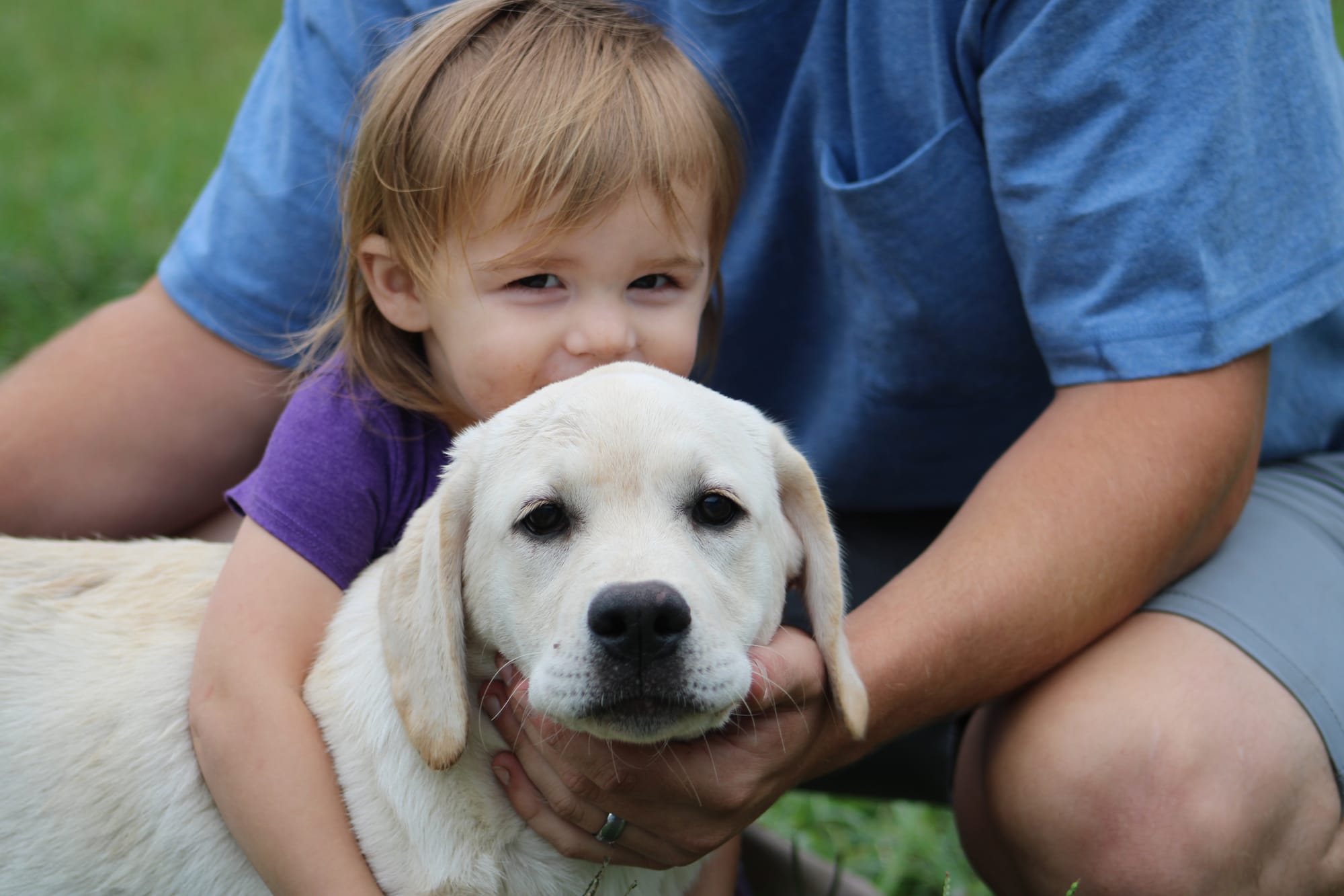 Diamond C’s Queen Of Sheba At Penny Lane
