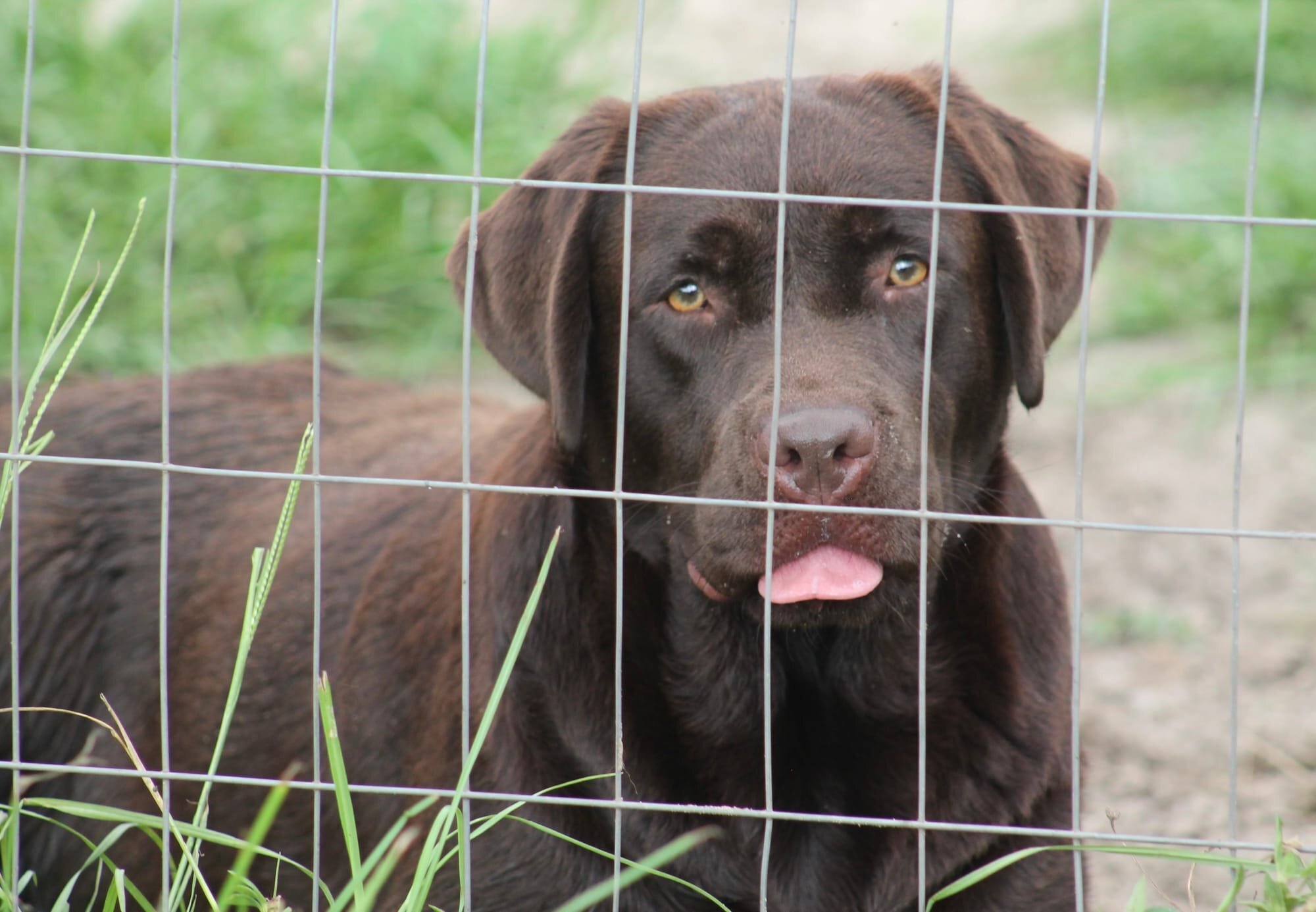 Quail Meadow’s Ladybug Love At Penny Lane